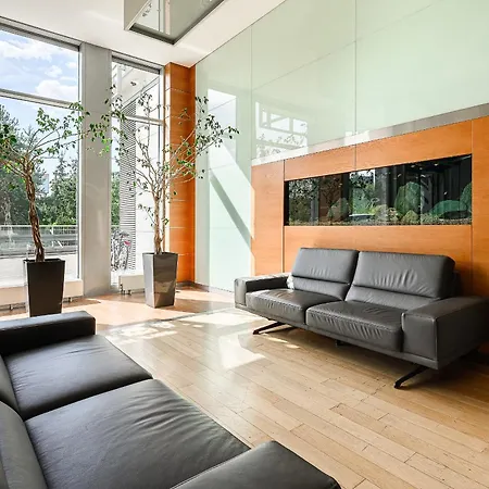 Apartment Close To Westfield Arkadia By P&o *